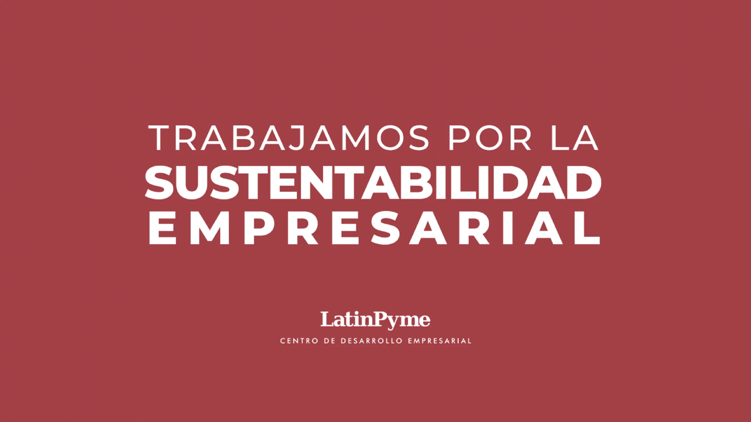 Pagina 2 Portafolio Latinpyme